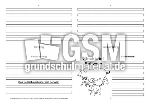 Schwein-Faltbuch-vierseitig-4.pdf